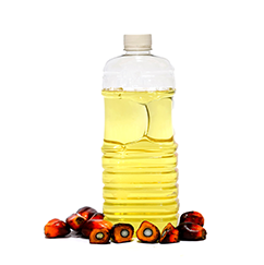 Palm Oil